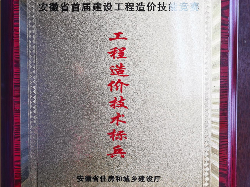 工程造价技术标兵